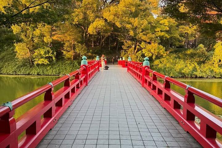 Osaka Private local Tour with Castle & Local Temple