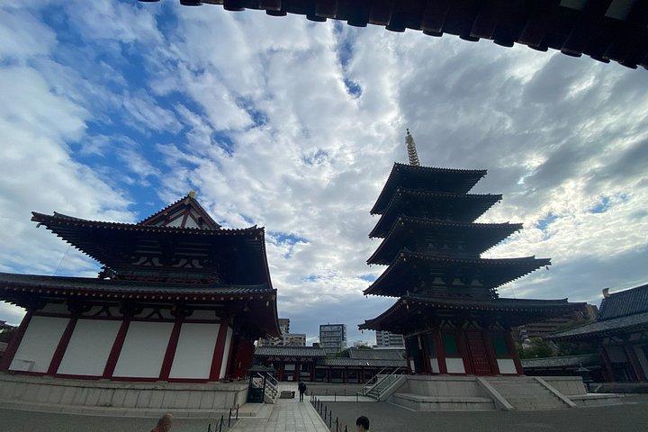 Osaka Private local Tour with Castle & Local Temple