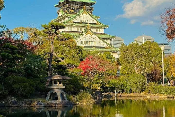 Osaka Private local Tour with Castle & Local Temple