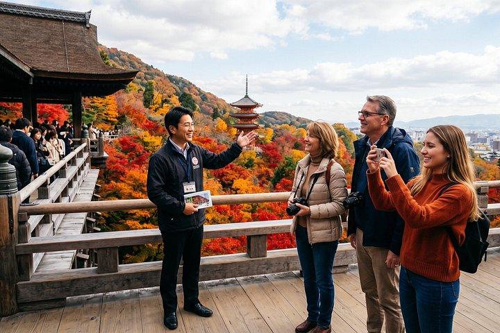 ライセンスガイド付き1日ウォーキングツアー京都4選