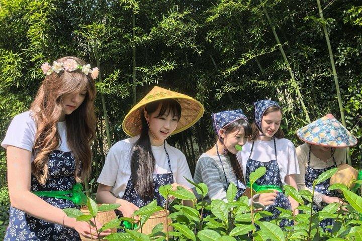 Hangzhou Leaf to Cup Pick Pan Fry and Whisk Tea Experience