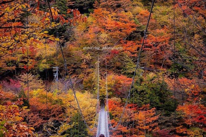 Fuji Hakone Private Tour with bilingual chauffeur