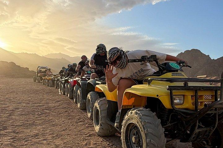 Quad & Camel Ride Safari Sharm Small Groups w/Bedouin Dinner Show