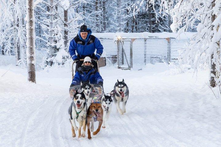 Safari en motoneige à Reindeer and Husky Farms - Rovaniemi