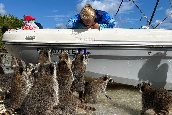 Excursion en bateau avec capitaine et photos sur l'île de Miami Raccoon