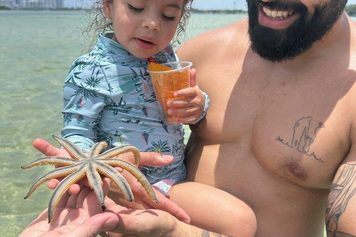 船長と写真で巡るマイアミ・ラクーン島野生動物ボートツアー