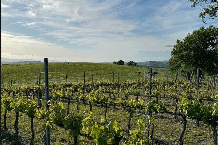 Versteckte Schlösser & Chianti Weinerlebnis – Kleine Gruppe