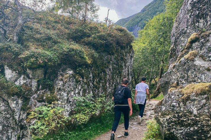 Bergen : フォルガフォンナ国立公園と氷河湖ツアー