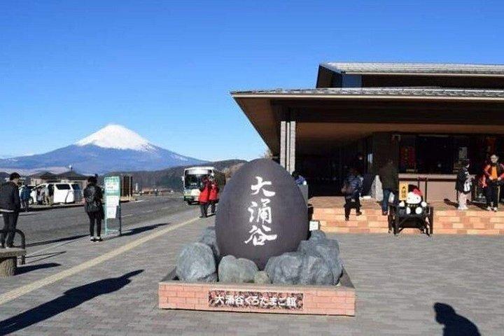 富士山と箱根のプライベートツアー（高級車付き）
