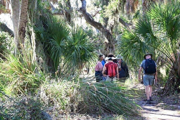 Myakka River Vortex Tour