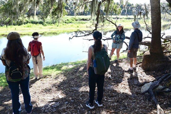 Myakka River Vortex Tour