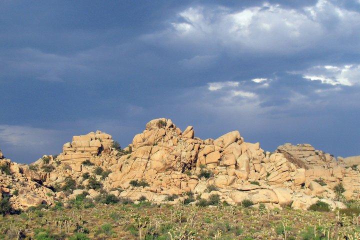 Guidad tur i Joshua Tree nationalpark med lokal Expert
