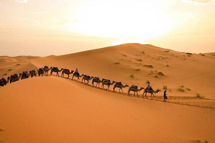MERZOUGA DESERT TREK - 3 DAYS From Marrakech