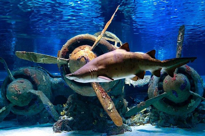 Antalya Aquarium toegangsbewijs