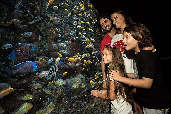 Antalya Aquarium toegangsbewijs