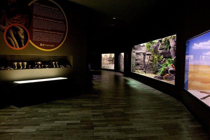 Antalya Aquarium toegangsbewijs
