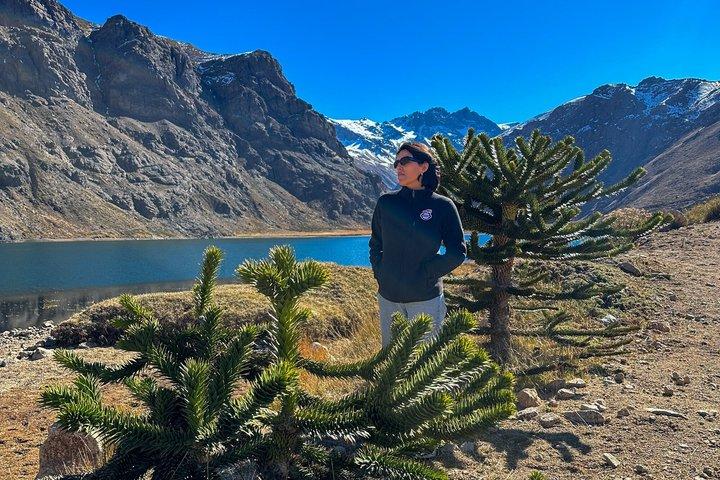 Santiago: Vandretur Cajón del Maipo, lagunen, brunch og chokolade