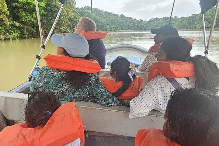 ガトゥン湖のエキゾチックな野生動物とサル
