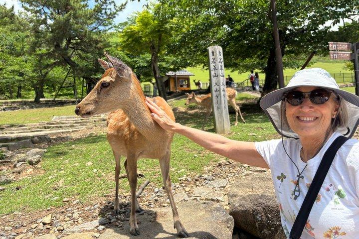 Excursión de un día a Nara desde Kioto : Tour personalizado, Guía con licencia