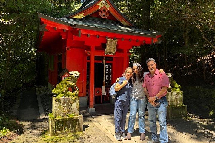 Hakone in 1 Day by Private Car with Licensed Guide