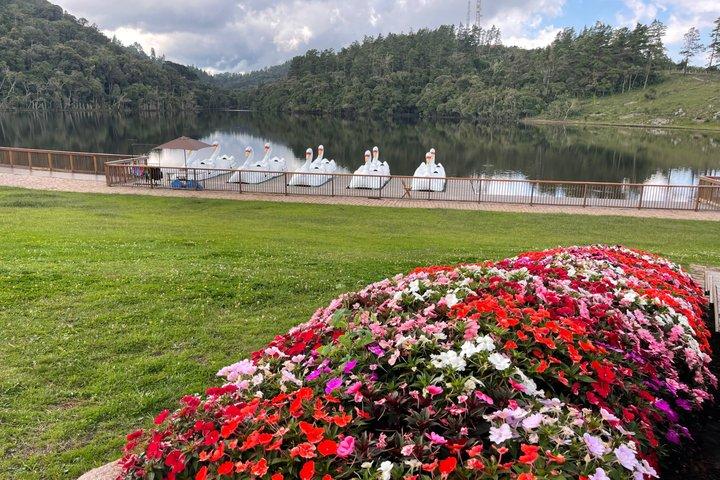 Visita a la ciudad en Campos do Jordão