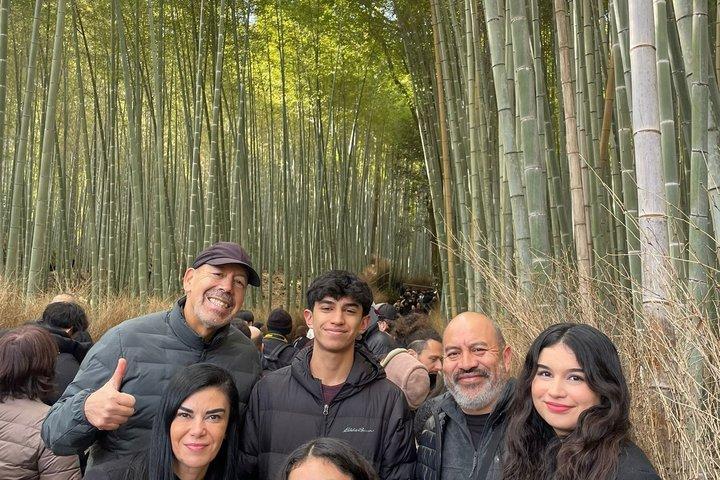 Visite guidée privée d'une journée de Tokyo à Kyoto
