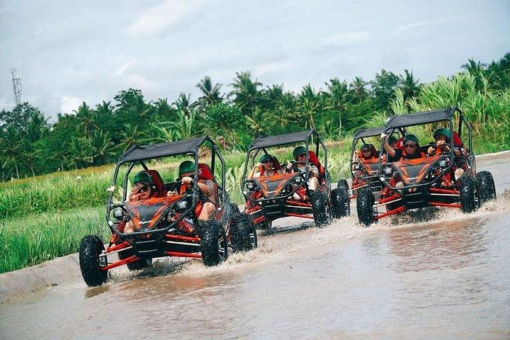 Bali : Ubud Buggy Adventure Dragon Cave, vandfald, risfelt, mud