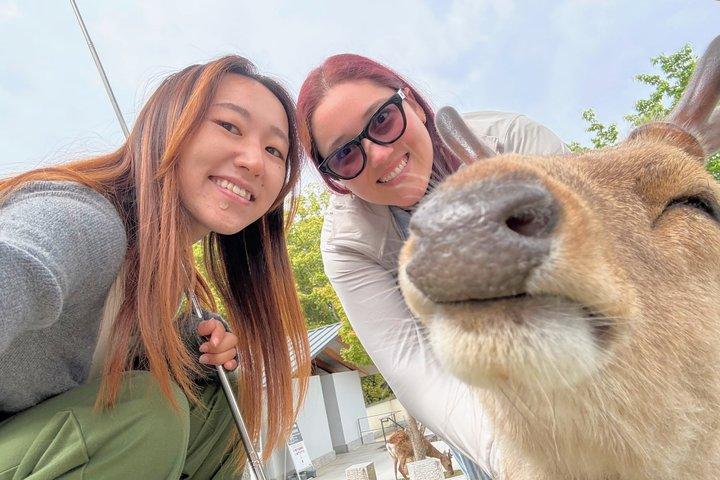 Weltkulturerbe Kyoto & Nara Uji Authentische Matcha Erfahrung