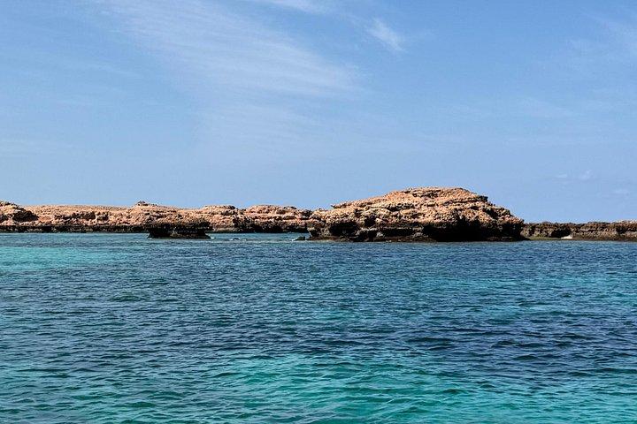 Plongée en apnée à Daymaniat Island