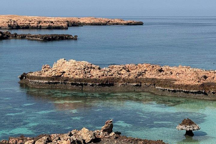 Plongée en apnée à Daymaniat Island