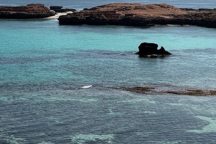 Plongée en apnée à Daymaniat Island