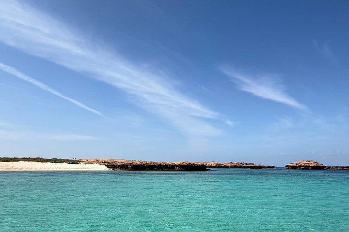 Plongée en apnée à Daymaniat Island