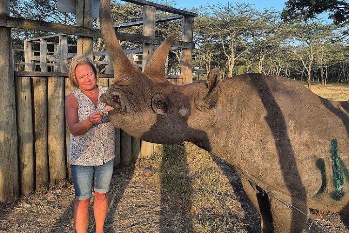 オル・ペジェタ・コンサーバンシー・ホワイトサイ・グループサファリ日帰り旅行