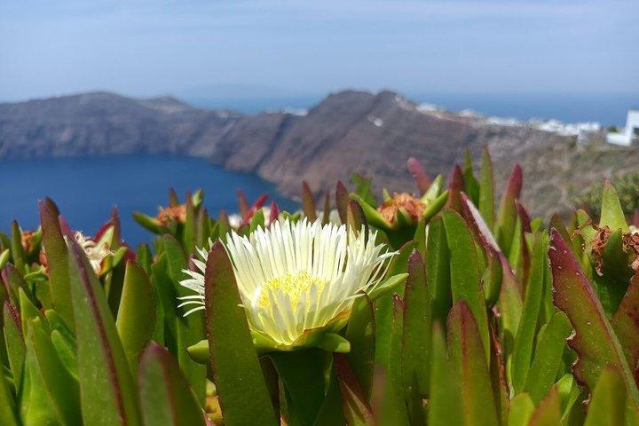 A Iconic Caldera Hike Experience Fira até Oia