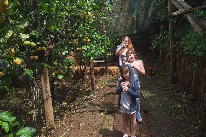 Tour a pie de comida y bebida de Sorrento
