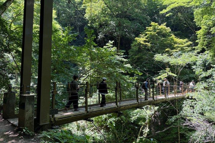 Private Mt. Takao Hike & Onsen from Shinjuku with Ex-JR Conductor