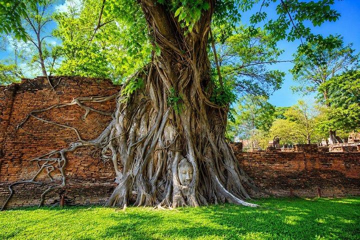 バンコク : アユタヤユネスコ寺院、巨大仏陀＆ボートライド。