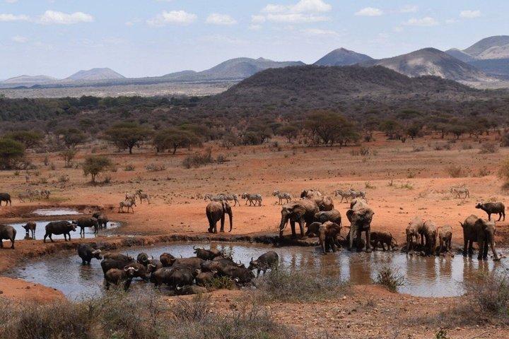 17 giorni Ultimate Kenya Safari Big Five e grande migrazione