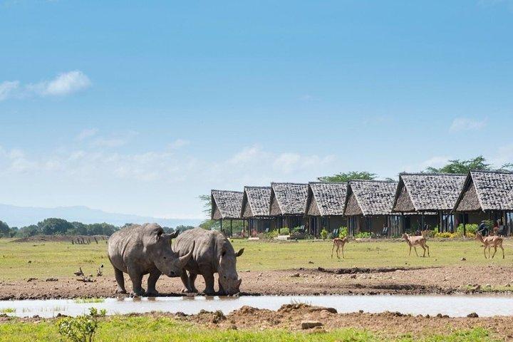 17 Tage ultimative Kenia Safari Big Five und große Migration