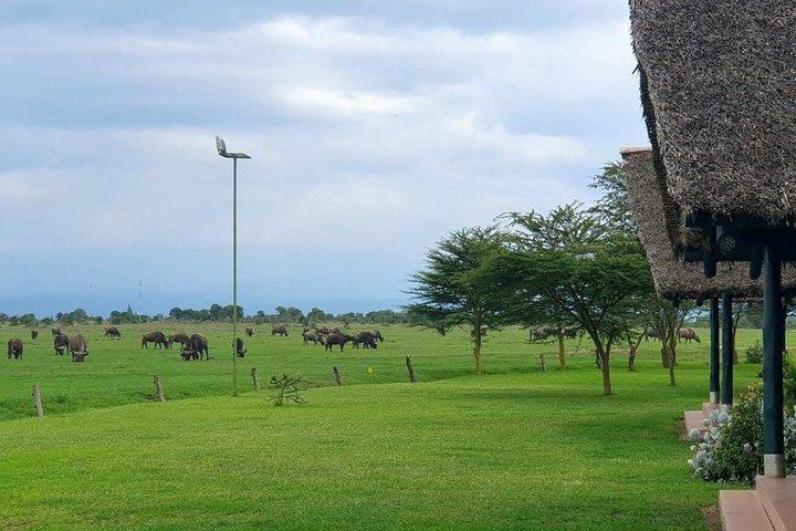 17 Tage ultimative Kenia Safari Big Five und große Migration