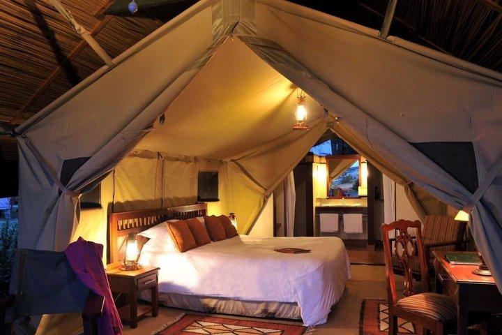 17 Tage ultimative Kenia Safari Big Five und große Migration