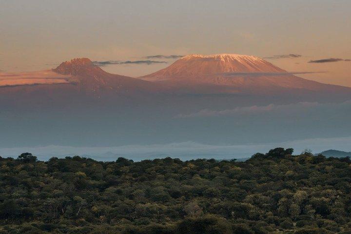 17 Tage ultimative Kenia Safari Big Five und große Migration