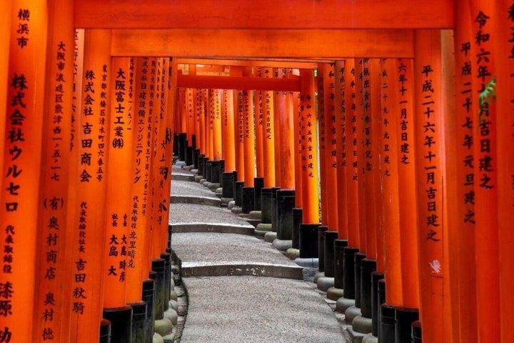 Excursión de un día en tren a Kyoto Sagano y Fushimi Inari