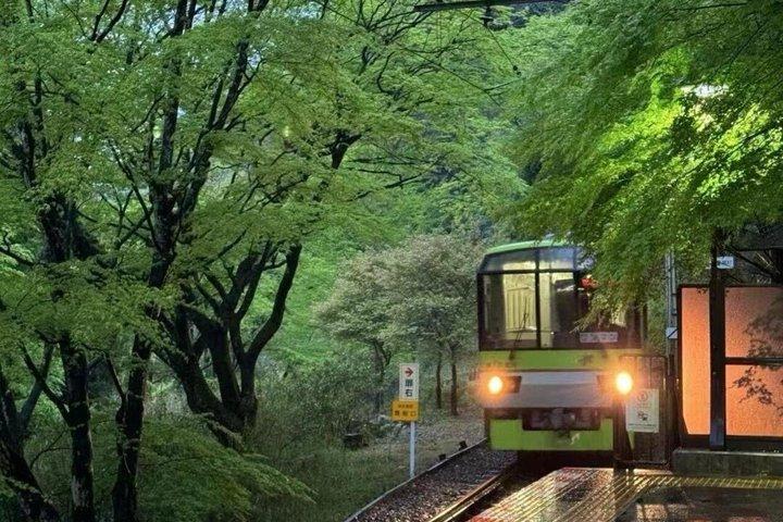Excursión de un día en tren a Kyoto Sagano y Fushimi Inari