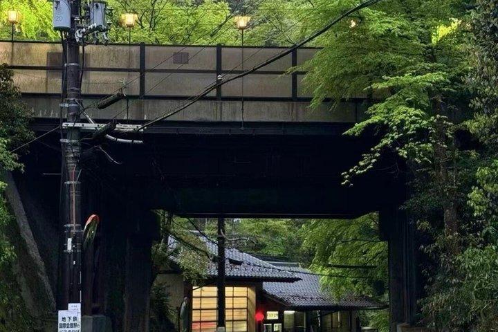 Excursión de un día en tren a Kyoto Sagano y Fushimi Inari
