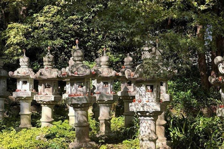Excursão de um dia no Parque Minoh e em Kyoto