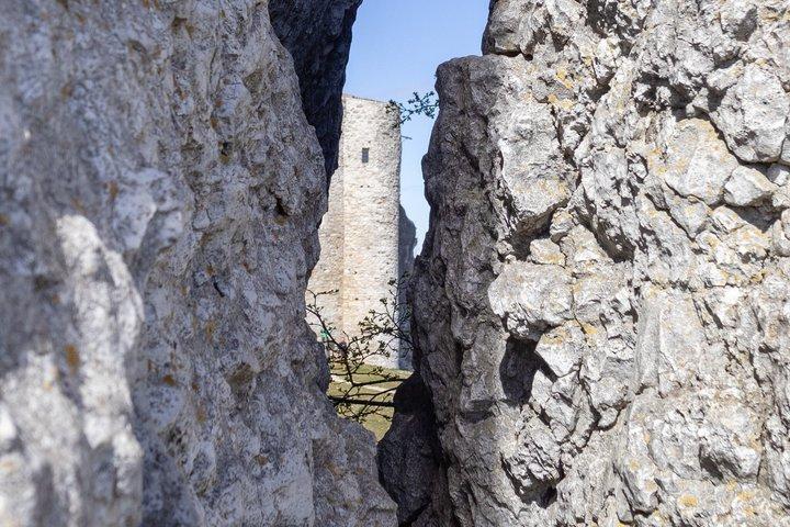 イーグルの巣&ポーランド領サハラ:クラクフからプライベートSUV日帰り旅行