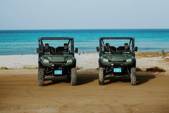 Aruba UTV Rental | Explorez l'île à votre rythme