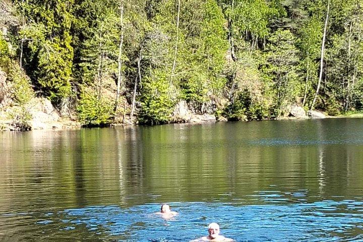 Oslo's Scenic Fjord Hike & Chef's Noruego Forest Waffle
