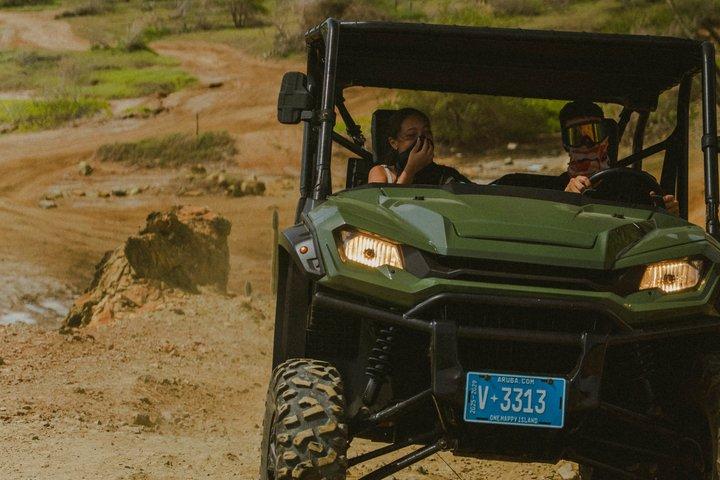 Aruba Small-Group UTV Adventure|Visite privée hors route Max 4 UTV